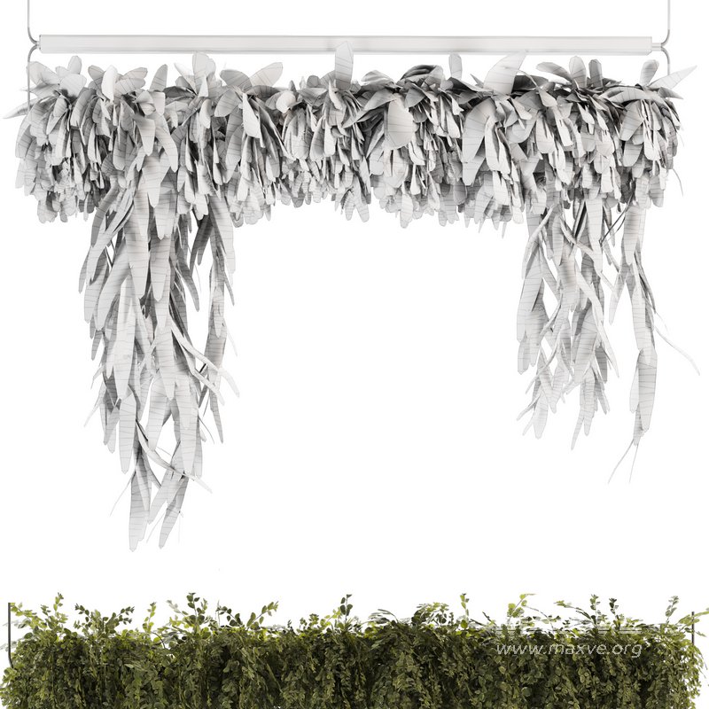 Indoor Plants-Ivy Plant-set-52 - Image 5