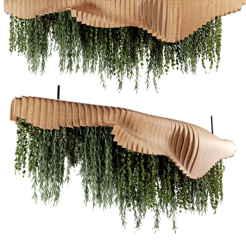 Indoorplants- Hanging Plants – Set-51 - Image 1