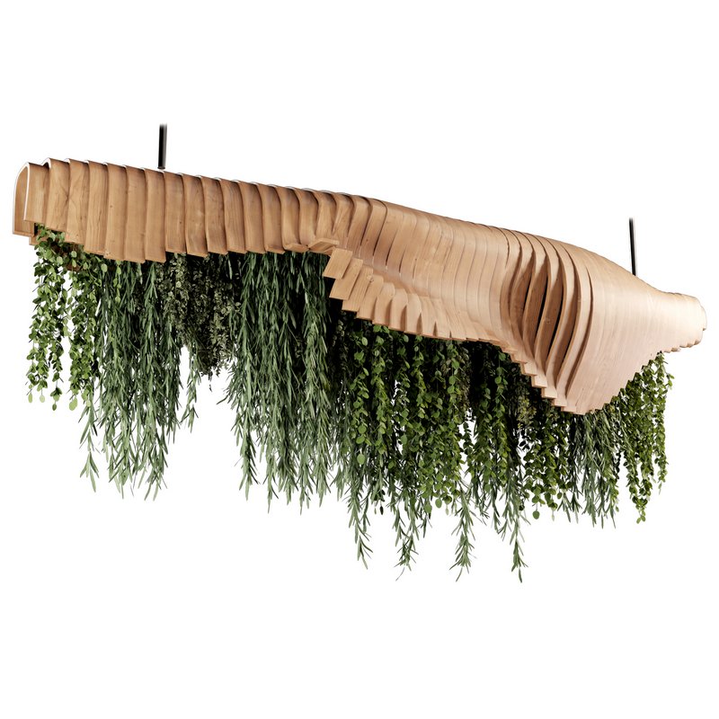 Indoorplants- Hanging Plants – Set-51 - Image 3