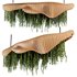 Indoorplants- Hanging Plants – Set-51 - Thumbnail 2
