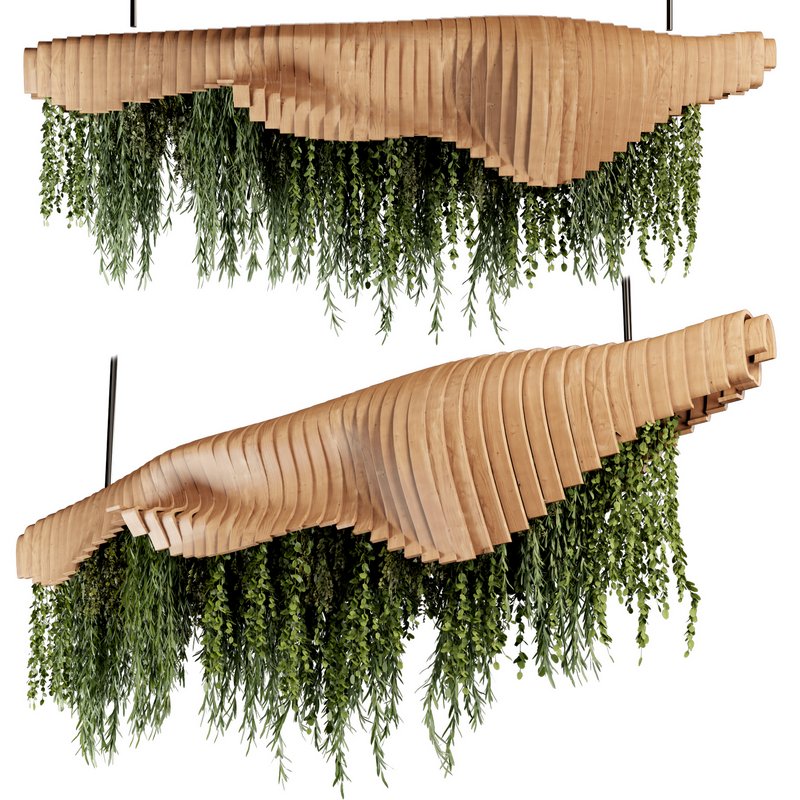 Indoorplants- Hanging Plants – Set-51 - Image 2