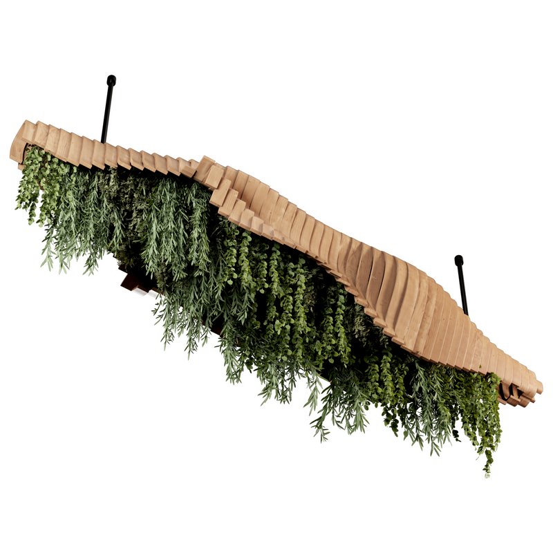 Indoorplants- Hanging Plants – Set-51 - Image 4