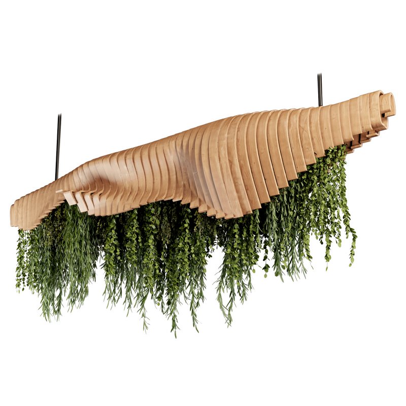 Indoorplants- Hanging Plants – Set-51 - Image 5