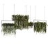 Indoorplants- Hanging Plants – Set-54 - Thumbnail 5