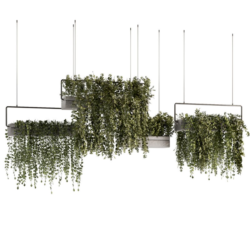 Indoorplants- Hanging Plants – Set-54 - Image 5