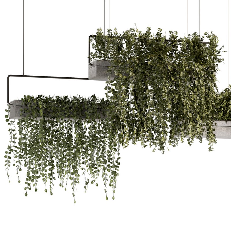 Indoorplants- Hanging Plants – Set-54 - Image 2