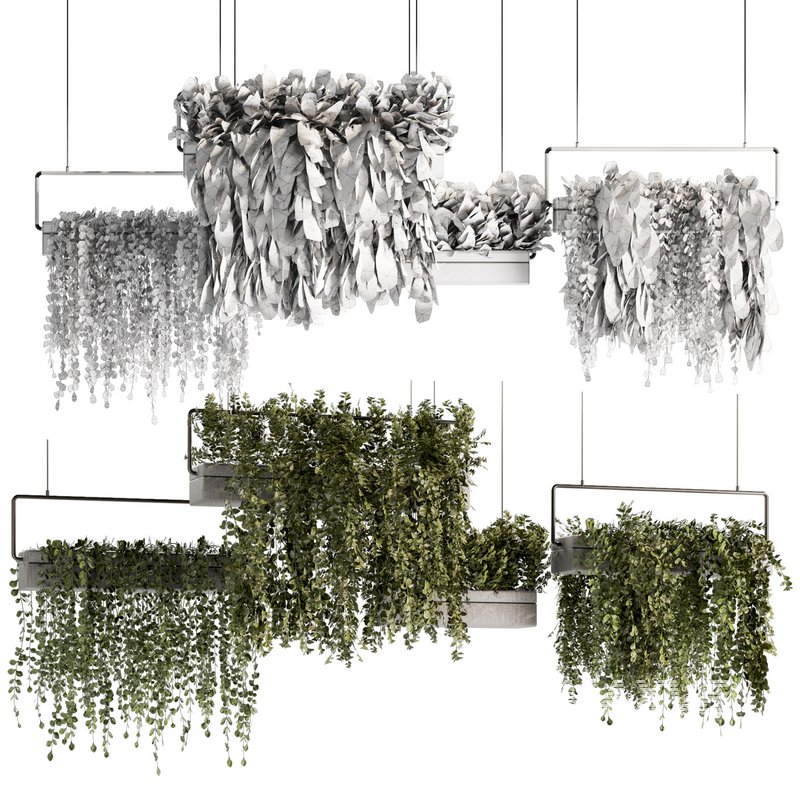 Indoorplants- Hanging Plants – Set-54 - Image 4