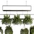 Indoorplants- Hanging Plants – Set-55 - Thumbnail 3