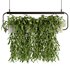Indoorplants- Hanging Plants – Set-57 - Thumbnail 1