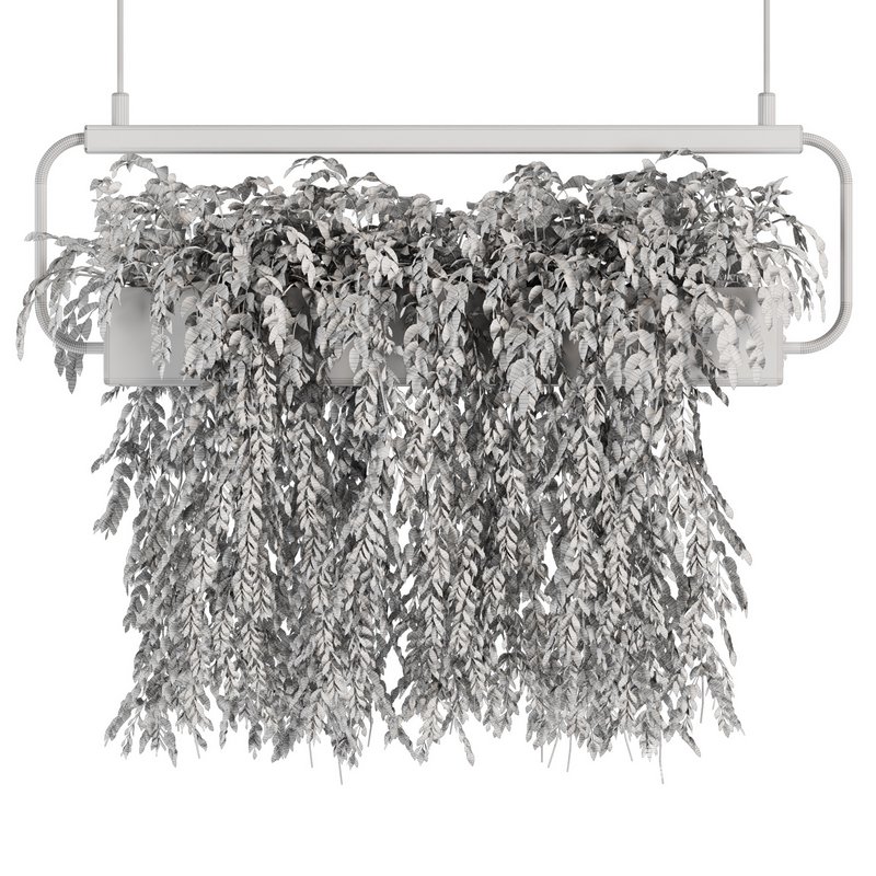 Indoorplants- Hanging Plants – Set-57 - Image 4