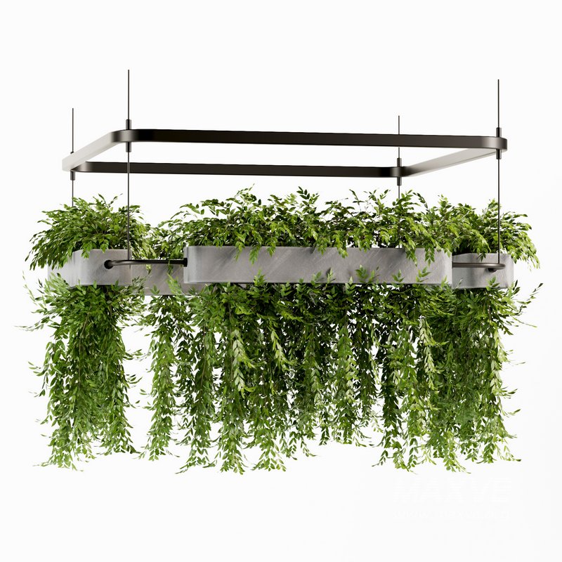 Indoorplants- Hanging Plants – Set-58 - Image 3