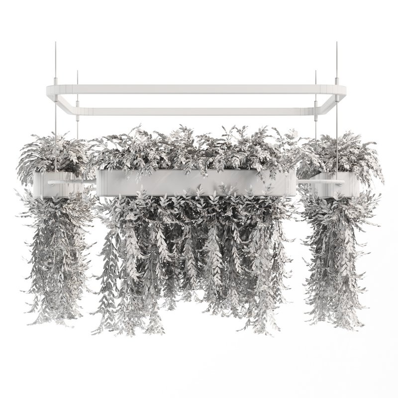 Indoorplants- Hanging Plants – Set-58 - Image 4