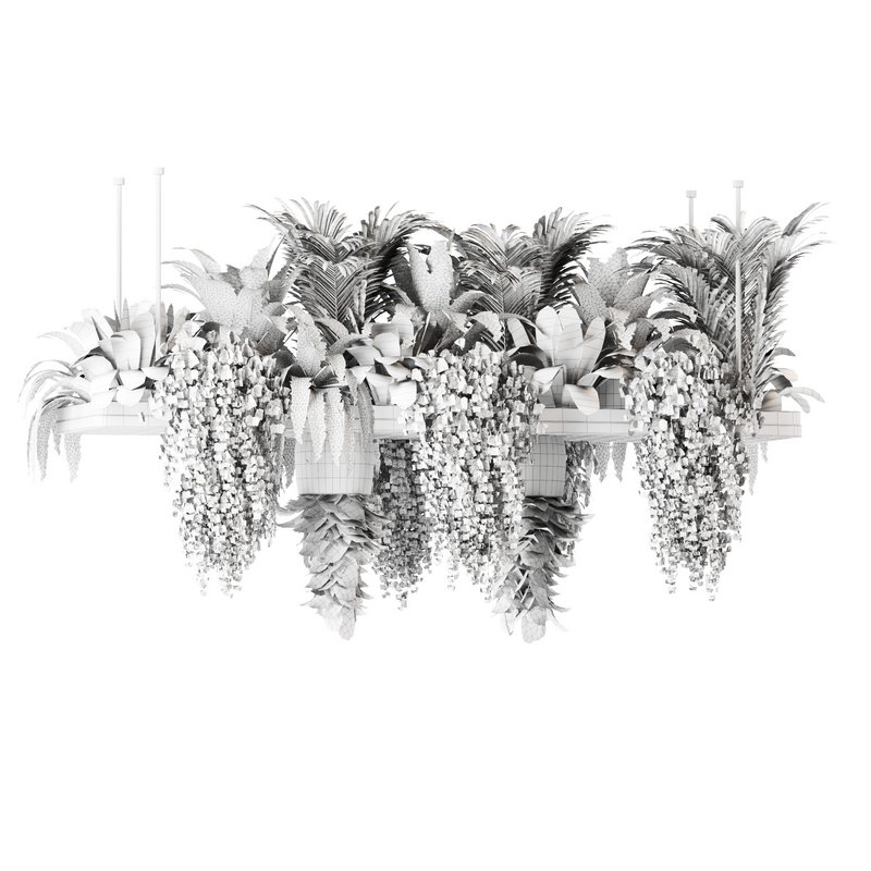 Indoorplants- Hanging Plants – Set-60 - Image 6