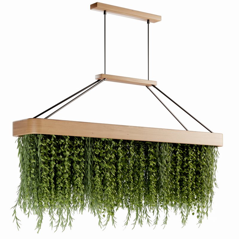 Indoorplants- Hanging Plants – Set-61 - Image 2