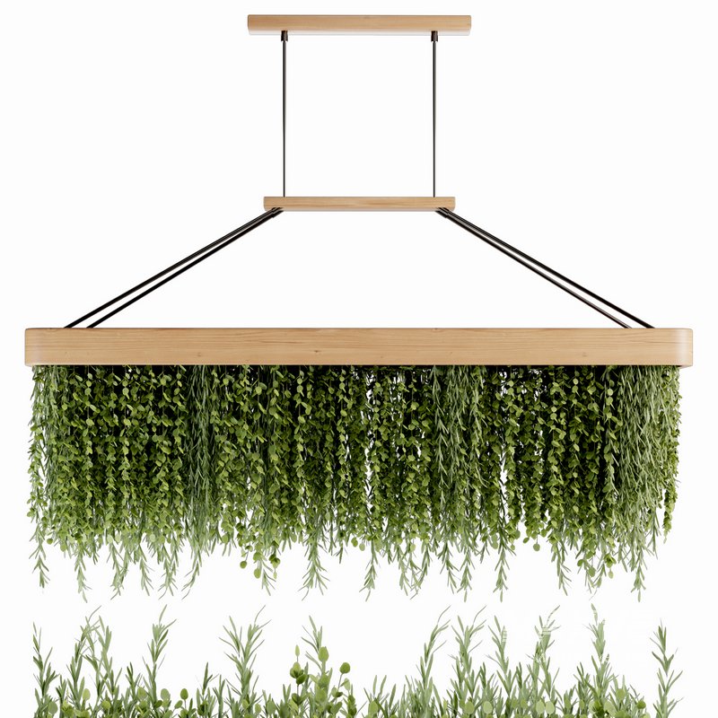 Indoorplants- Hanging Plants – Set-61 - Image 3