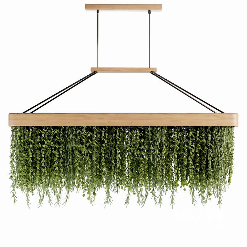 Indoorplants- Hanging Plants – Set-61 - Image 1