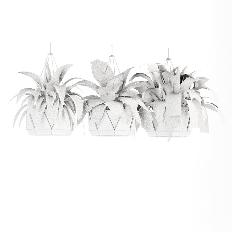 Indoorplants- Hanging Plants – Set-62 - Image 3