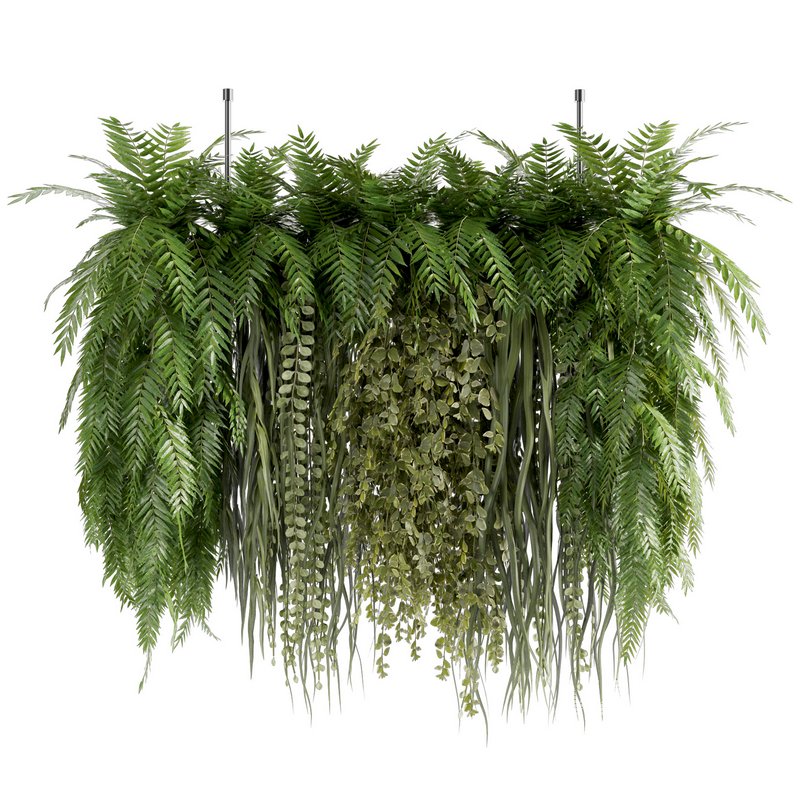 Indoorplants-Hanging plants set-63 - Image 1