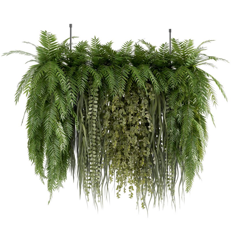 Indoorplants-Hanging plants set-63 - Image 3