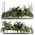 Indoorplants-Hanging plants set-64 - Thumbnail 1