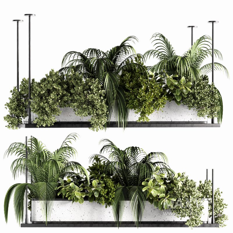 Indoorplants-Hanging plants set-64 - Image 1