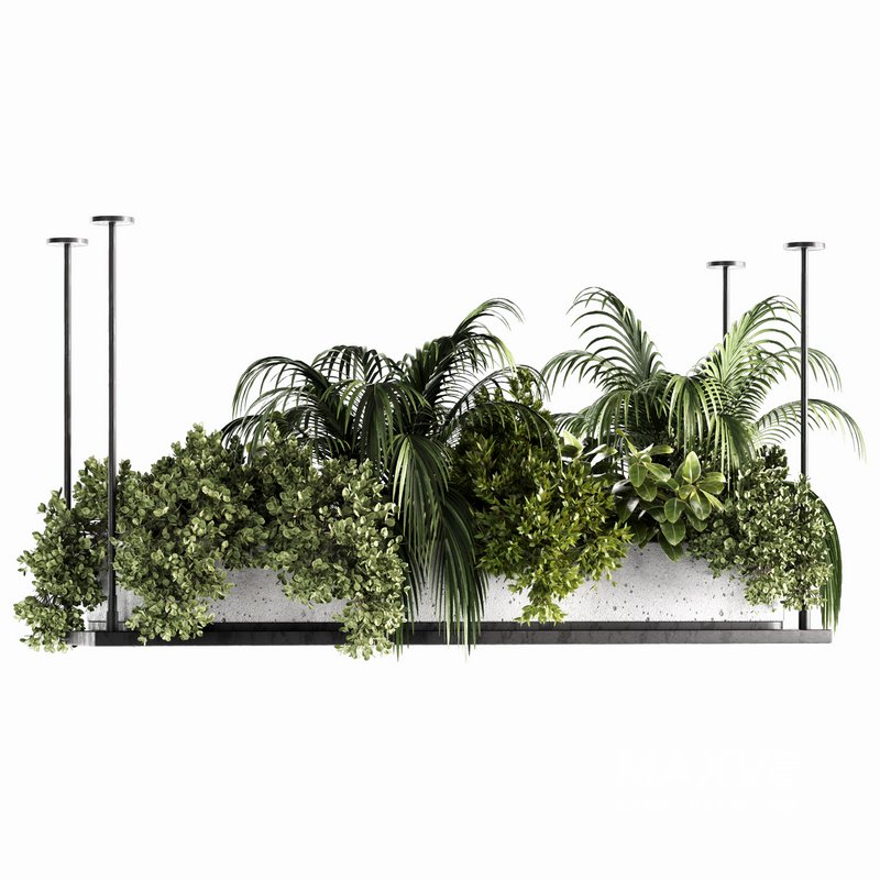 Indoorplants-Hanging plants set-64 - Image 2