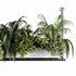 Indoorplants-Hanging plants set-64 - Thumbnail 3