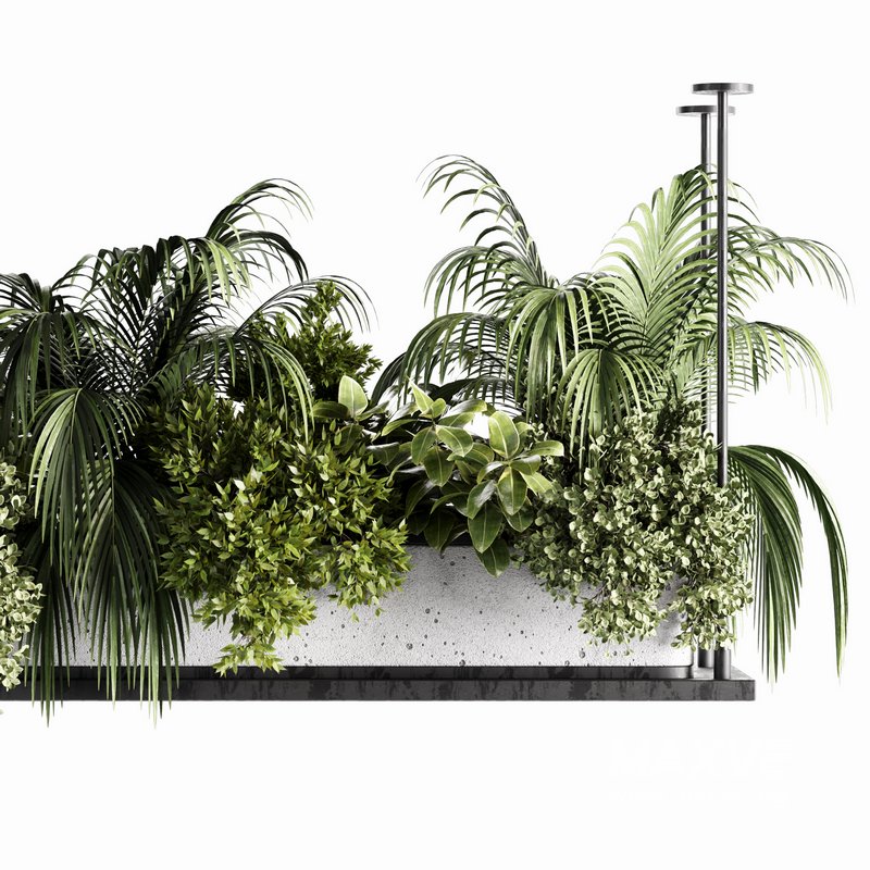 Indoorplants-Hanging plants set-64 - Image 3