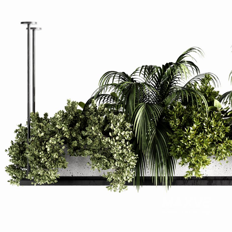 Indoorplants-Hanging plants set-64 - Image 4