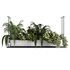 Indoorplants-Hanging plants set-64 - Thumbnail 5