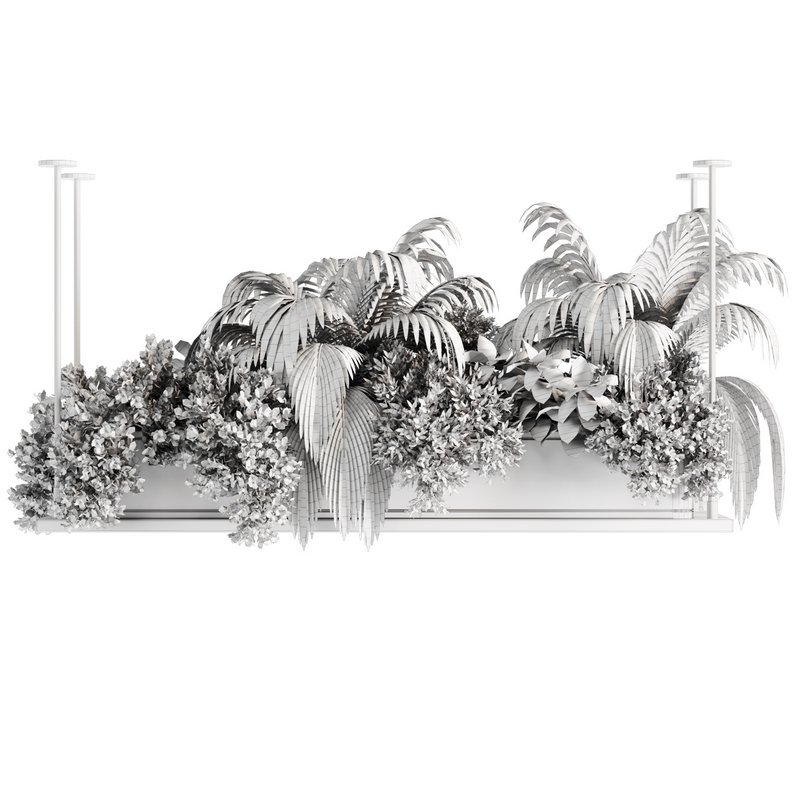 Indoorplants-Hanging plants set-64 - Image 7