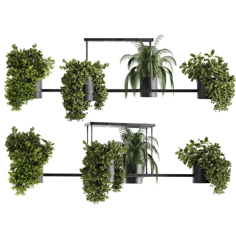 Indoorplants-Hanging plants set-65 - Image 1