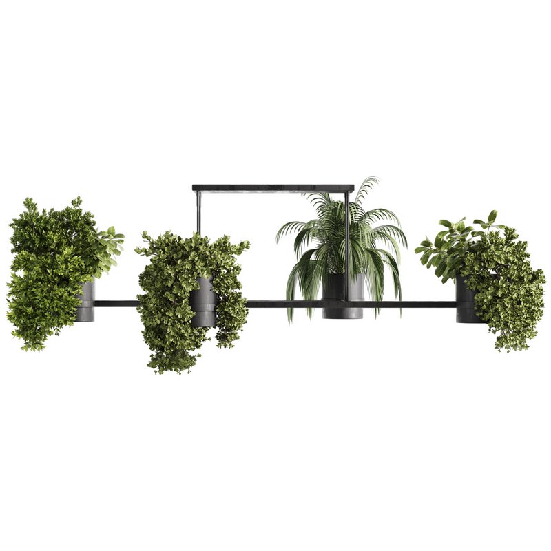 Indoorplants-Hanging plants set-65 - Image 2