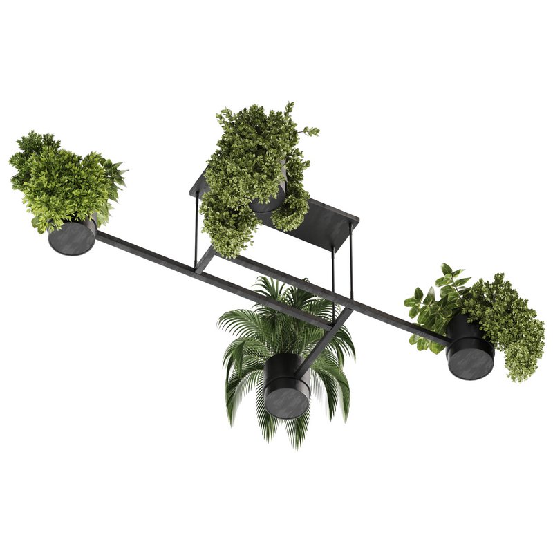 Indoorplants-Hanging plants set-65 - Image 5