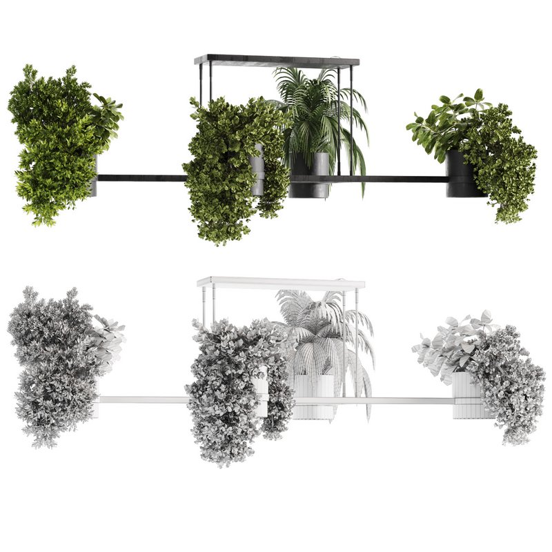 Indoorplants-Hanging plants set-65 - Image 7