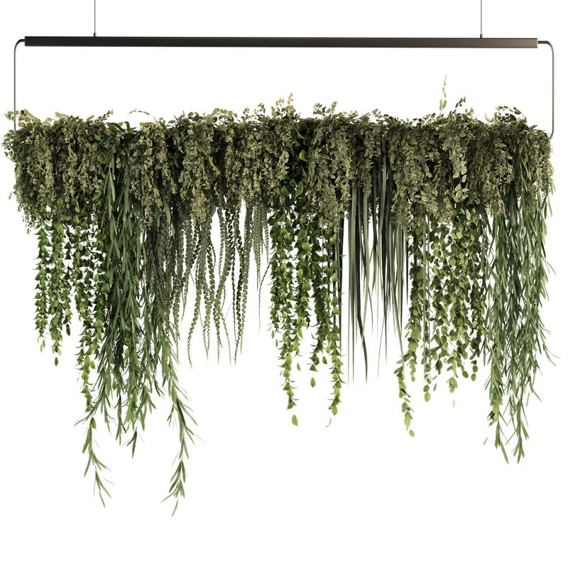 Indoorplants- Hanging Plants – Set50 - Image 2