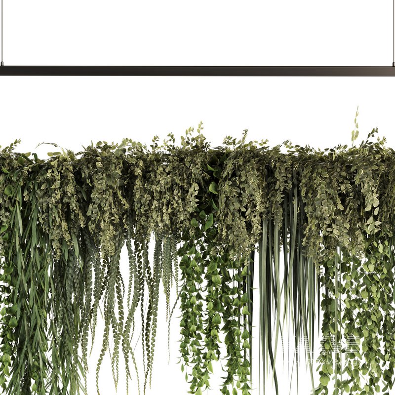 Indoorplants- Hanging Plants – Set50 - Image 1