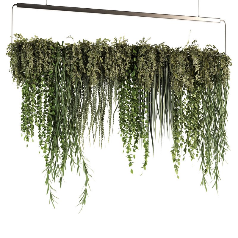 Indoorplants- Hanging Plants – Set50 - Image 4