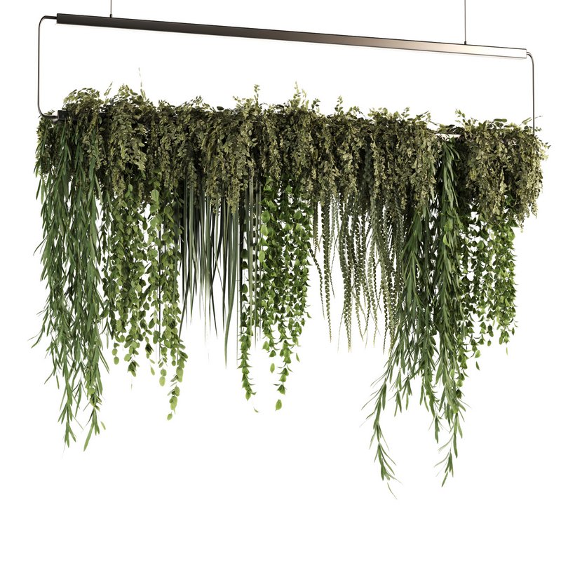 Indoorplants- Hanging Plants – Set50 - Image 6