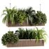 Indoorplants-Hanging set-67 - Thumbnail 1