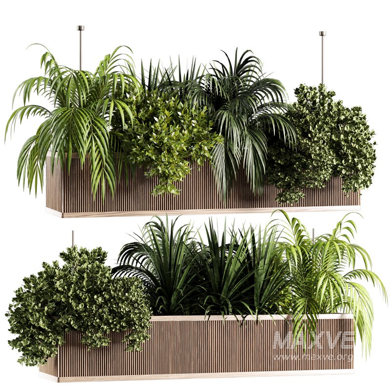 Indoorplants-Hanging set-67 - Image 1