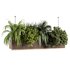 Indoorplants-Hanging set-67 - Thumbnail 4