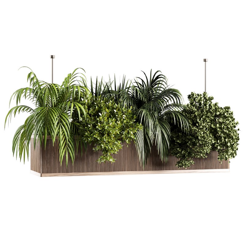 Indoorplants-Hanging set-67 - Image 4