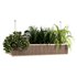 Indoorplants-Hanging set-67 - Thumbnail 2