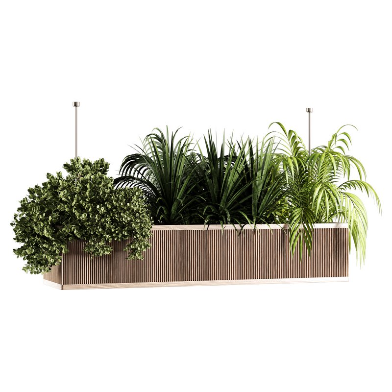Indoorplants-Hanging set-67 - Image 2