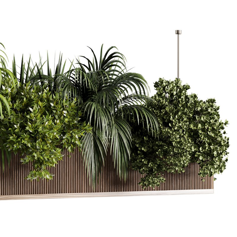 Indoorplants-Hanging set-67 - Image 3