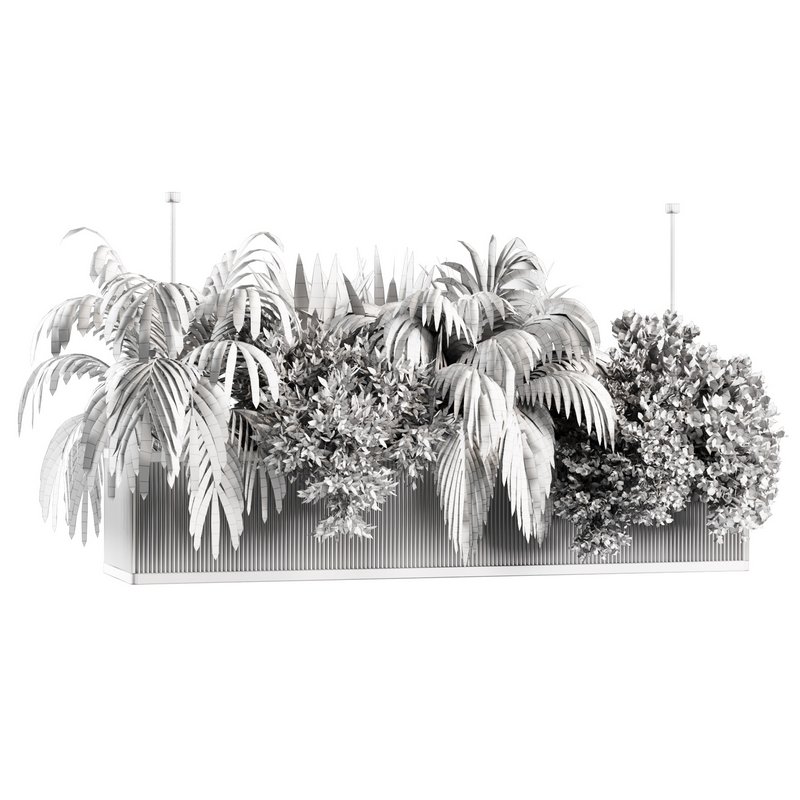 Indoorplants-Hanging set-67 - Image 5