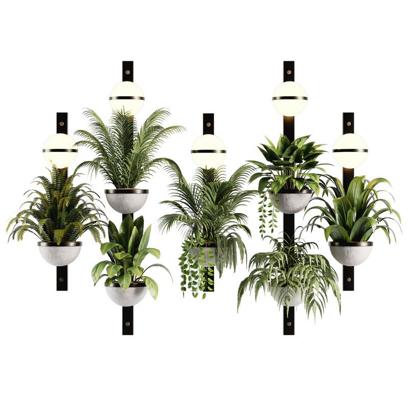 Indoorplants-Hanging set-68 - Image 1