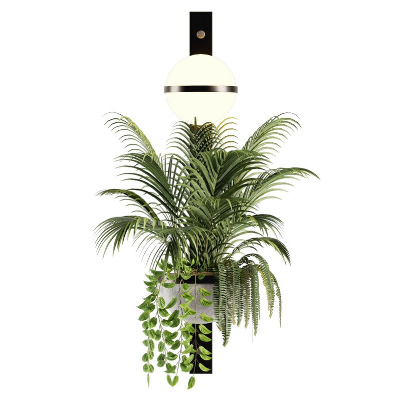 Indoorplants-Hanging set-68 - Image 3