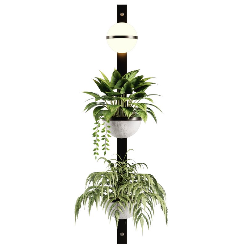Indoorplants-Hanging set-68 - Image 2